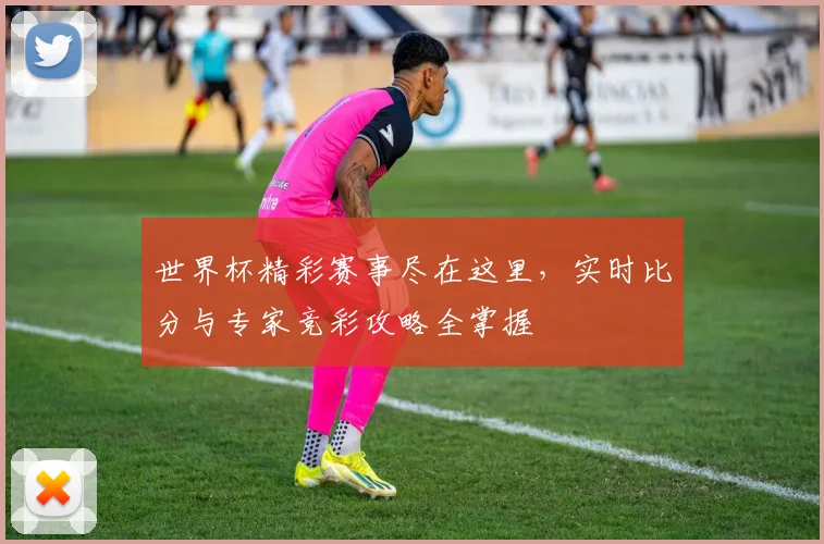 世界杯精彩赛事尽在这里，实时比分与专家竞彩攻略全掌握