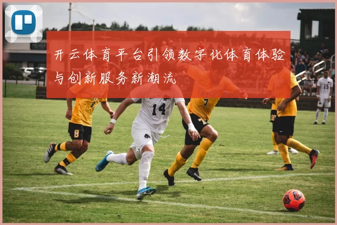 开云体育平台引领数字化体育体验与创新服务新潮流